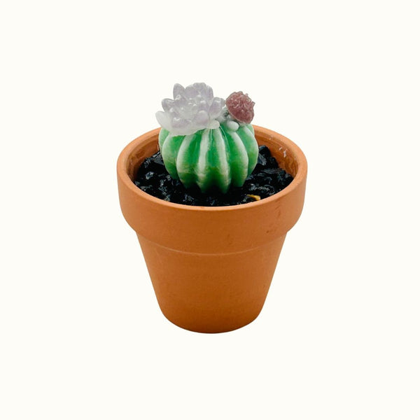 Mini Terra Cotta Glass Succulent - 07