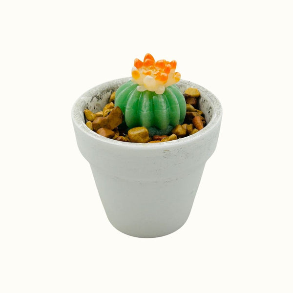 Mini White Ceramic Glass Succulent - 11