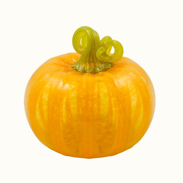 TS Pumpkin - Tangerine Dream 02