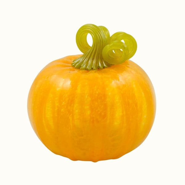 TS Pumpkin - Tangerine Dream 03