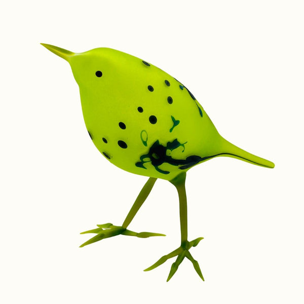 Golden, Green Abstracted Wren