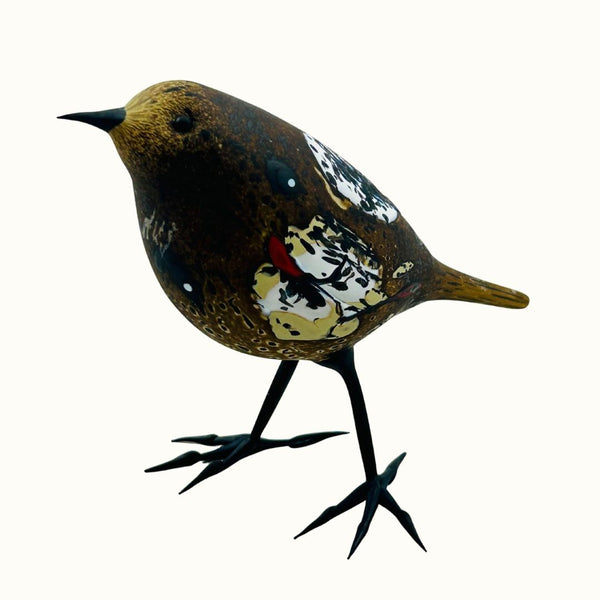 Earth Bird