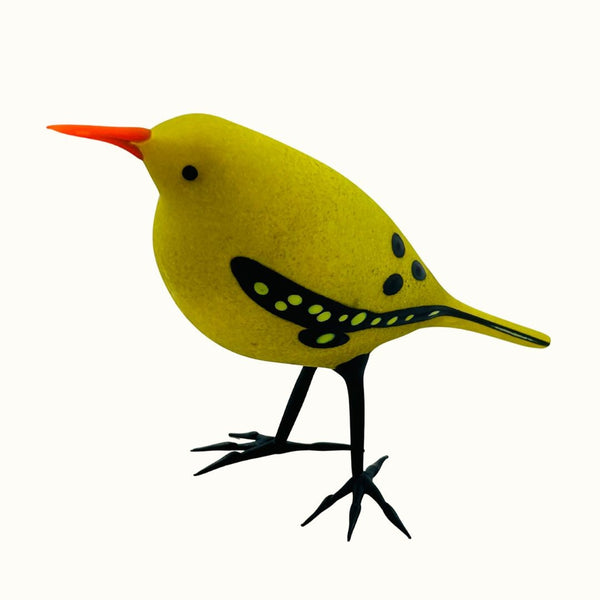 Orange Bee-eater