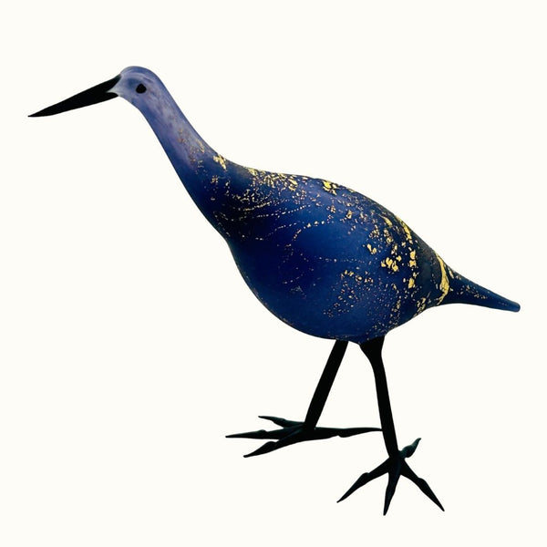 Midnight Heron
