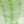 Load image into Gallery viewer, Zanfrico Encalmo Bowl - Green/Ivory
