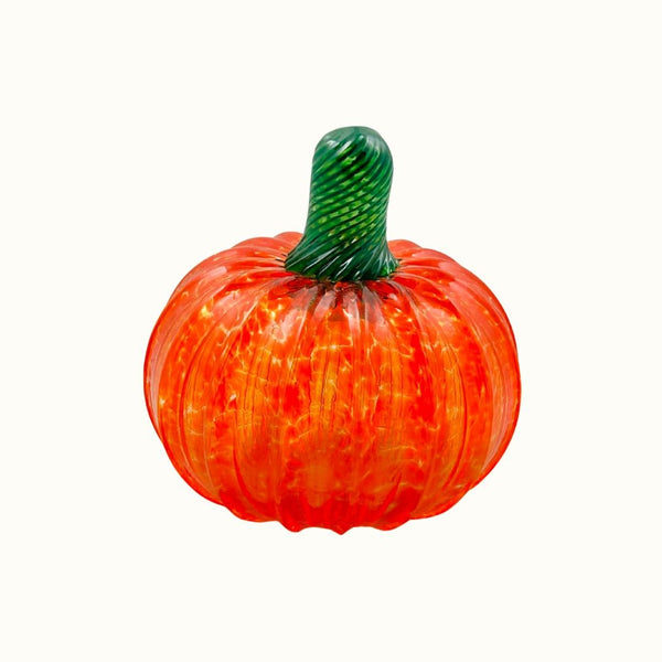 JS Pumpkin - Orange Gourd