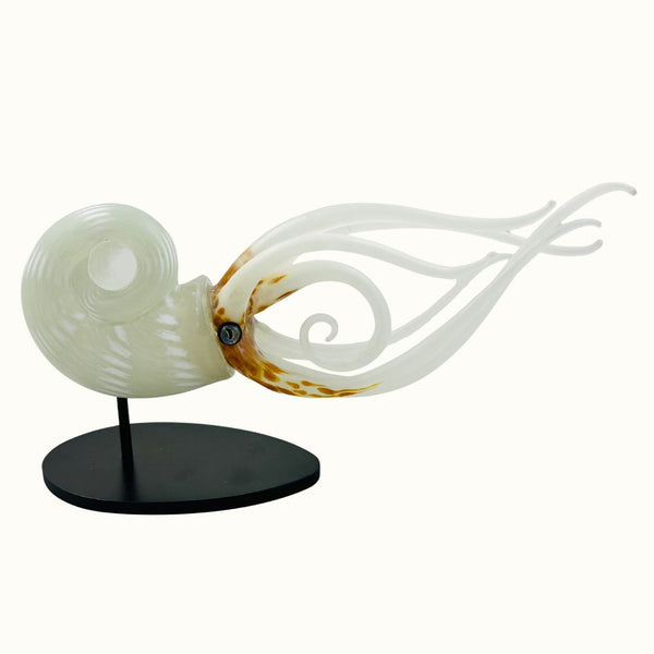 Nautilus - Off White
