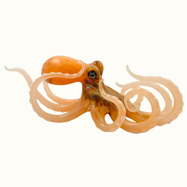 Small Glass Octopus - Coral