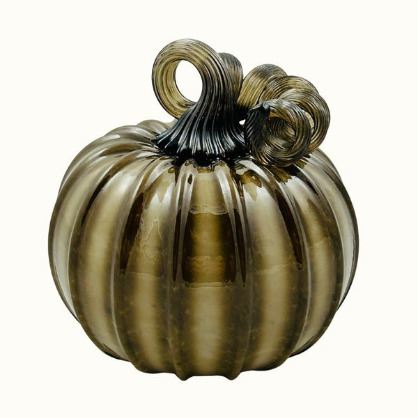 TS Pumpkin - Petrified Wood