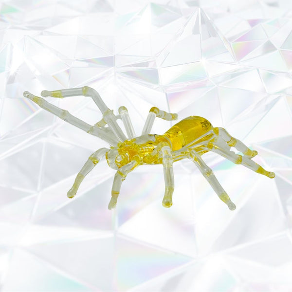 Tarantula - Amber & Fallout