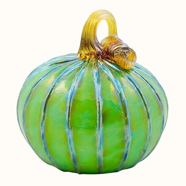 MOG Hot Shop Pumpkin - Luna Moth