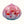 Load image into Gallery viewer, Seaform Light - Danceteria
