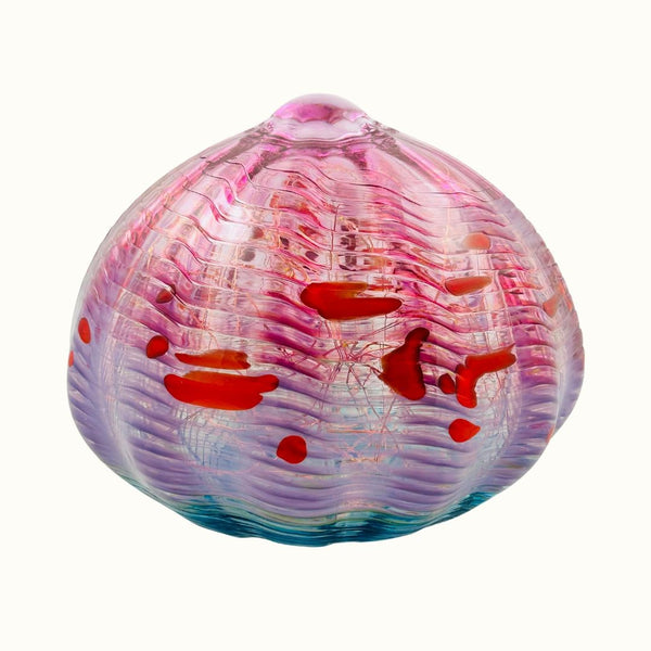 Seaform Light - Danceteria
