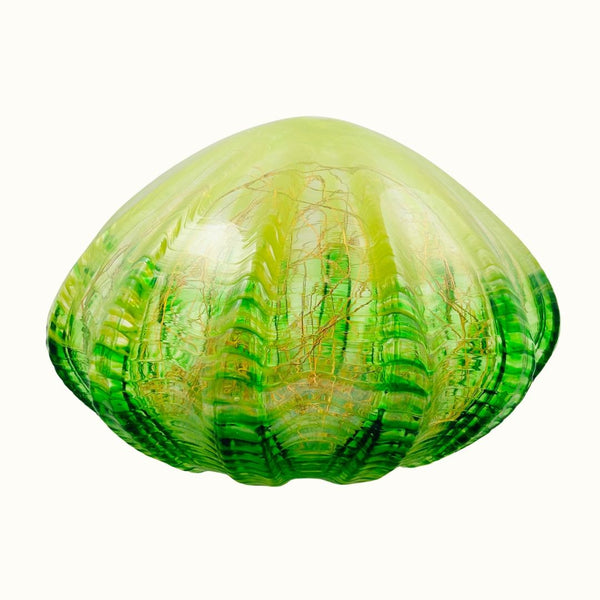 Seaform Light - Holiday