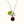 Load image into Gallery viewer, Raspberry Botanical Necklace
