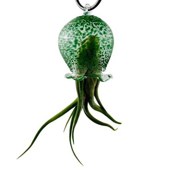 Jellyfish Air Planter - Green Speckle