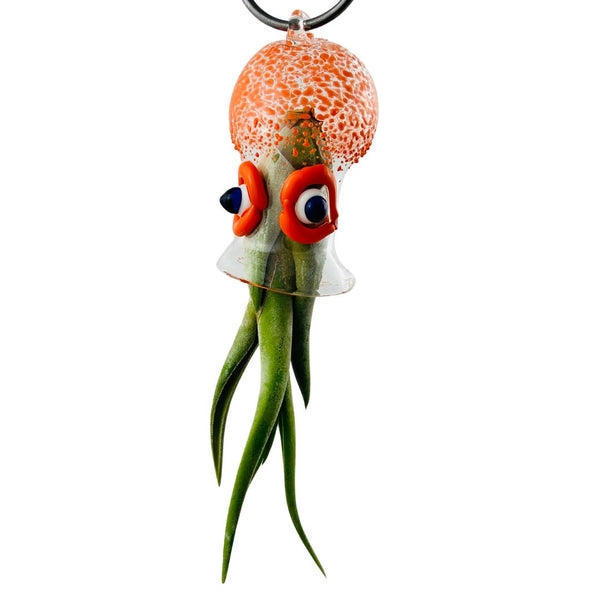 Cephalopod Air Planter - Winifred