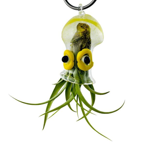 Cephalopod Air Planter - Sally