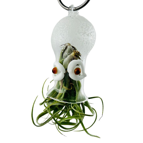 Cephalopod Air Planter - Betsy