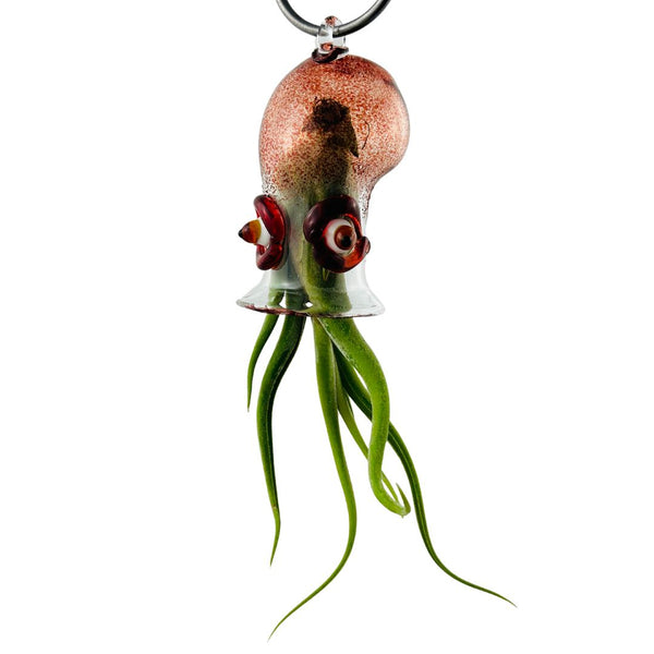 Cephalopod Air Planter - Luann