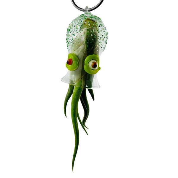 Cephalopod Air Planter - Eunice