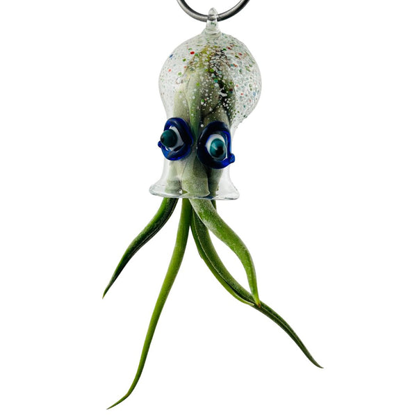 Cephalopod Air Planter - Patsy