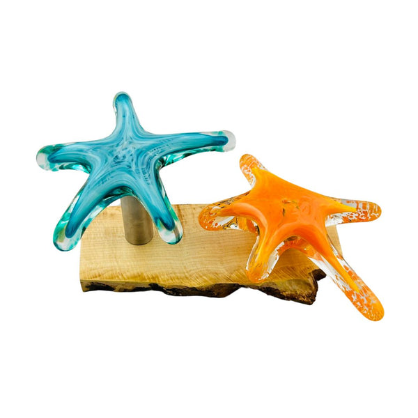 Duo Starfish Desk Ornament - 01