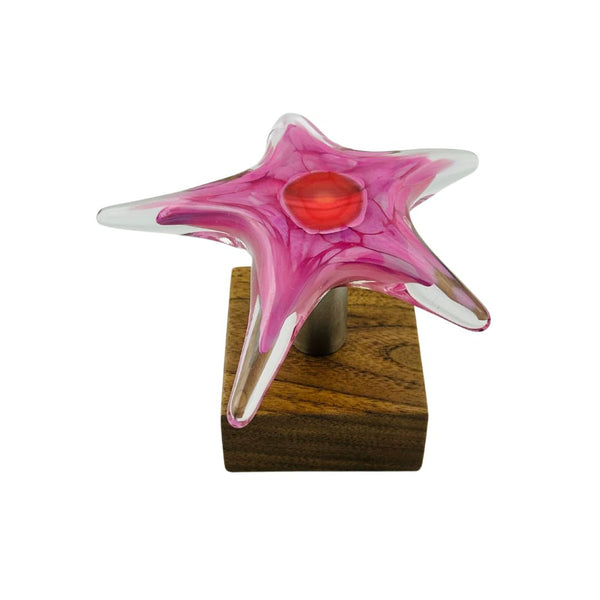 Single Starfish Desk Ornament - 04