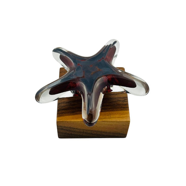 Single Starfish Desk Ornament - 05