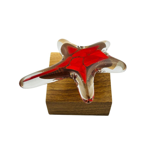 Single Starfish Desk Ornament - 06