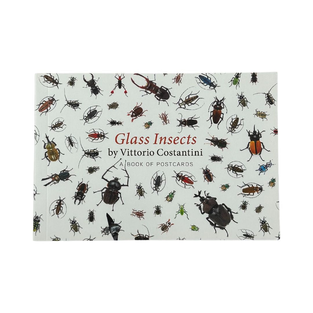 Glass Insects by Vittorio Costantini: A Book of Postcards – Museum of Glass