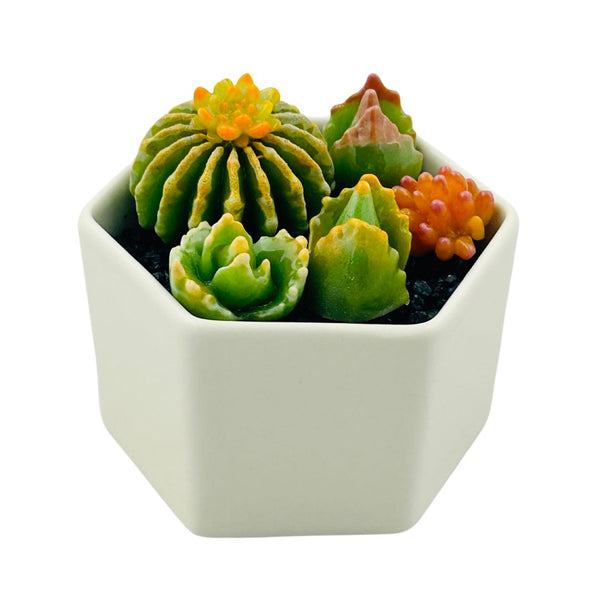 Large Glass Succulent Hex Pot - 01