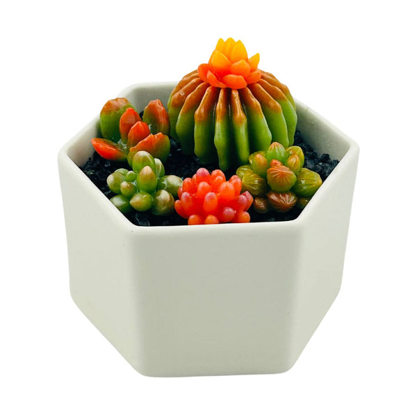 Large Glass Succulent Hex Pot - 02