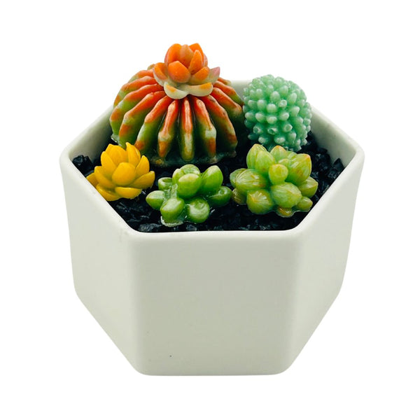 Large Glass Succulent Hex Pot - 03