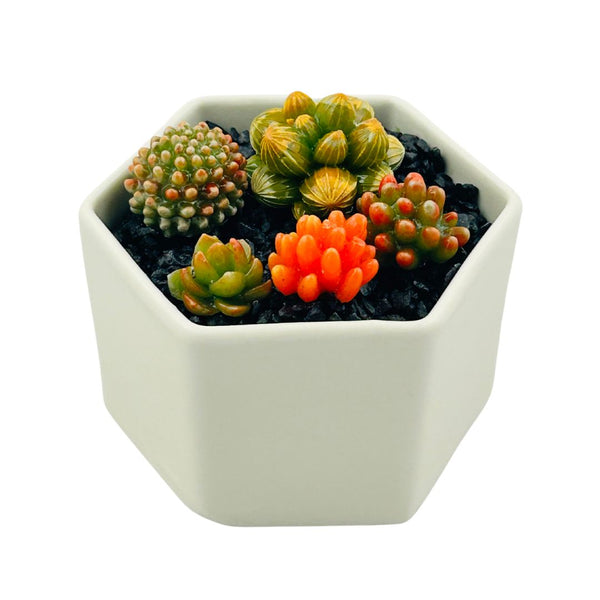 Large Glass Succulent Hex Pot - 04