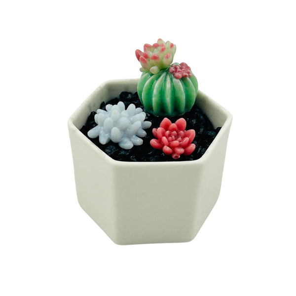 Small Glass Succulent Hex Pot - 02