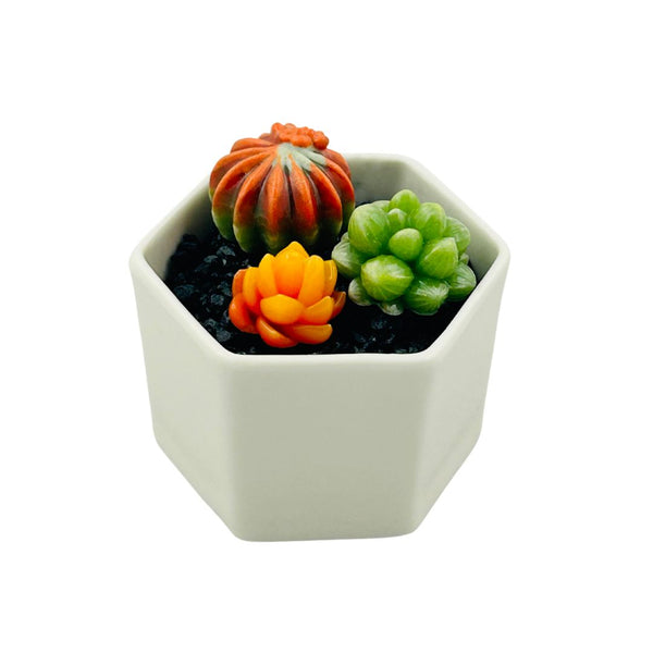 Small Glass Succulent Hex Pot - 04