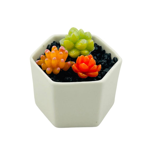 Small Glass Succulent Hex Pot - 06