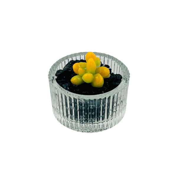 Mini Glass Succulent in Tea Light - 04