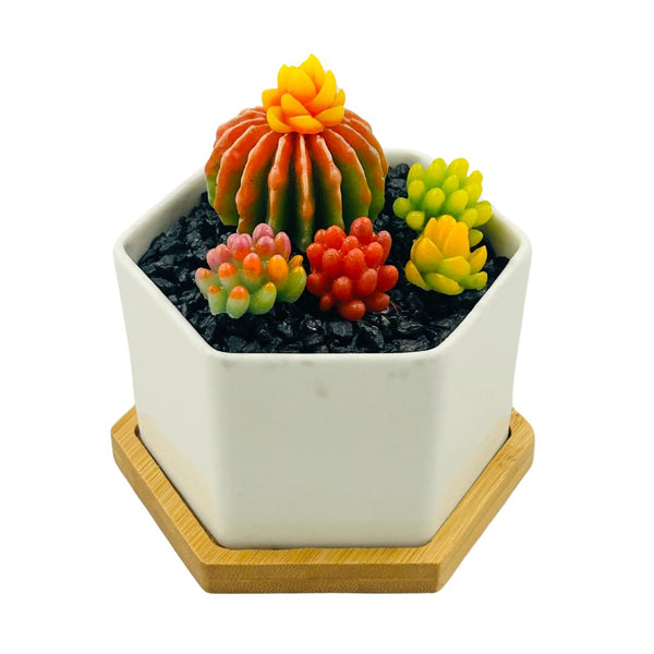 Large Glass Succulent Hex Pot - 06