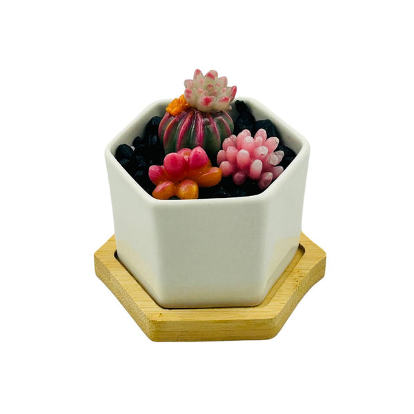 Small Glass Succulent Hex Pot - 05