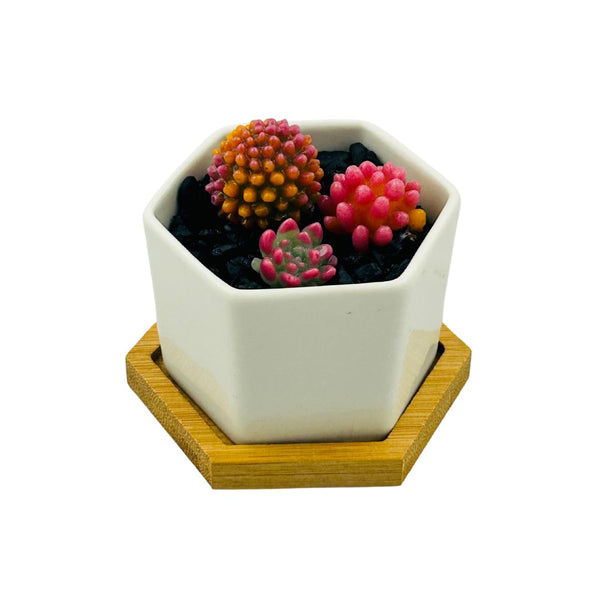 Small Glass Succulent Hex Pot - 08