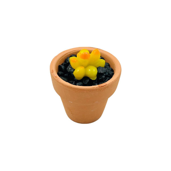 Mini Terra Cotta Glass Succulent - 02