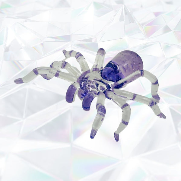 Purple Rain Tarantula