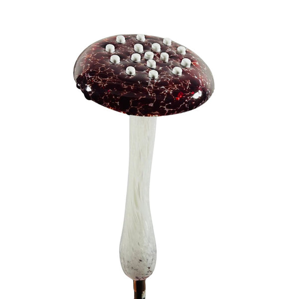 CS Garden Mushroom - Apple Cider Vinegar
