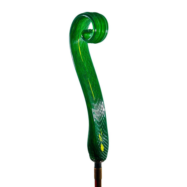 CS Garden Fern Curl - Baby Spinach