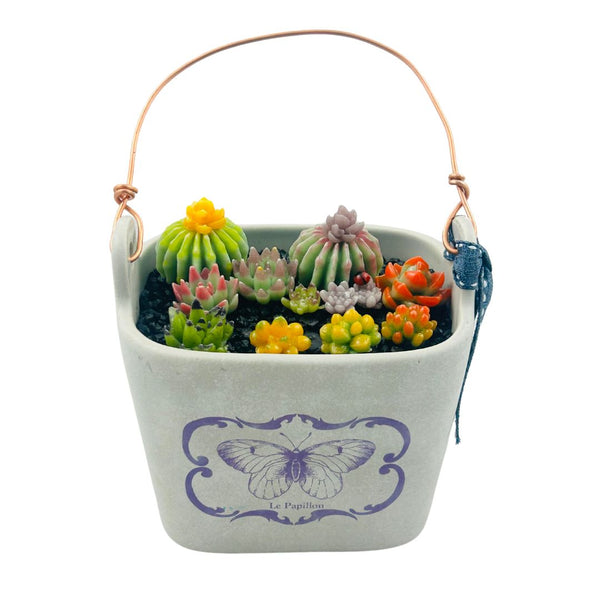 "Le Papillon" Pot w/ 12 Succulents