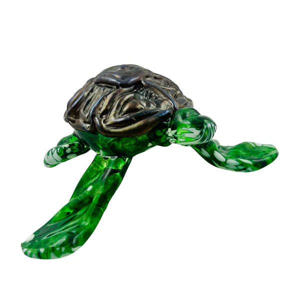 Baby Turtle - Elwha