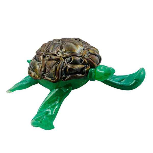 Adult Turtle - Klamath