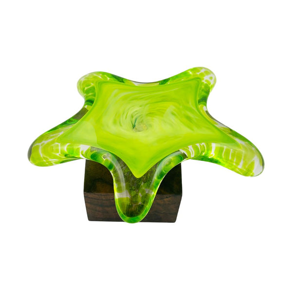 Single Starfish Desk Ornament - Slimer